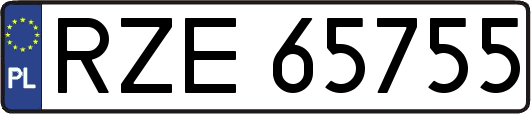 RZE65755