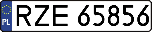 RZE65856