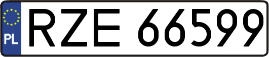 RZE66599