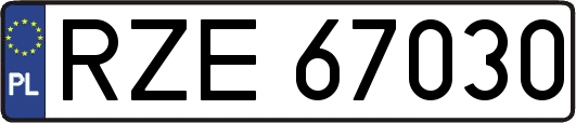 RZE67030