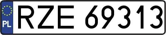 RZE69313