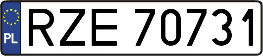 RZE70731