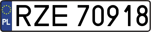 RZE70918