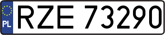 RZE73290