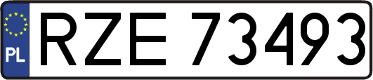 RZE73493