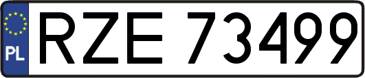 RZE73499