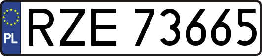 RZE73665