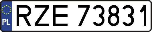 RZE73831