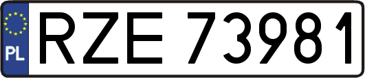 RZE73981