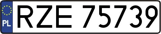 RZE75739