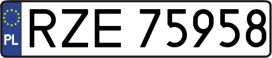 RZE75958