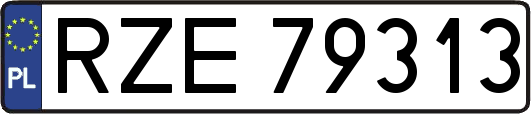 RZE79313