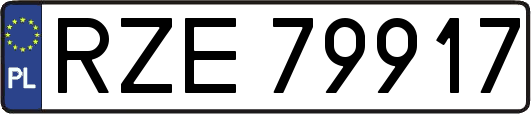 RZE79917