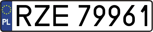 RZE79961