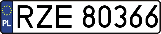 RZE80366