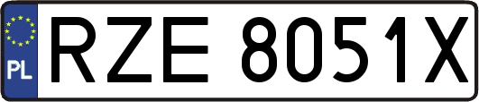 RZE8051X