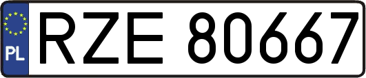 RZE80667