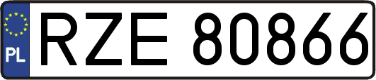 RZE80866