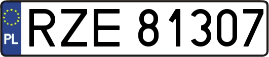 RZE81307