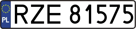 RZE81575