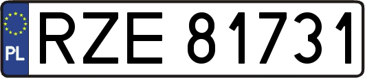 RZE81731