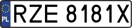 RZE8181X