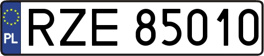 RZE85010