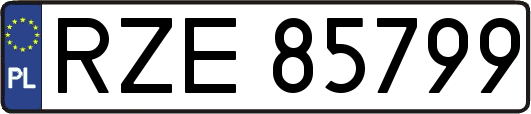 RZE85799