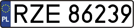 RZE86239