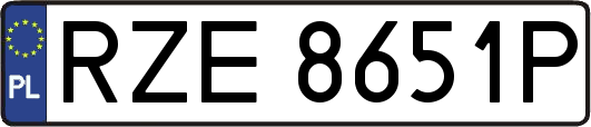 RZE8651P