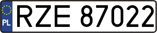 RZE87022