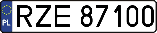 RZE87100