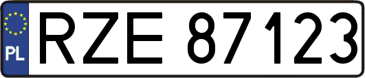 RZE87123