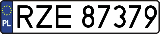 RZE87379