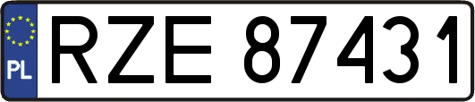 RZE87431