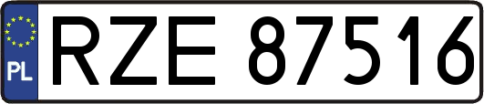 RZE87516