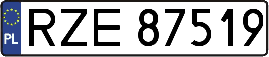 RZE87519
