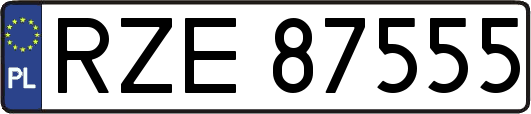 RZE87555