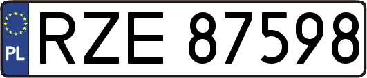 RZE87598