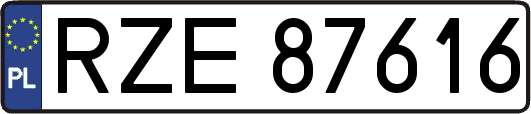 RZE87616