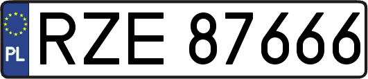 RZE87666