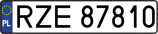 RZE87810