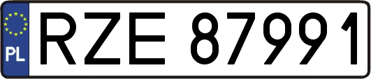 RZE87991