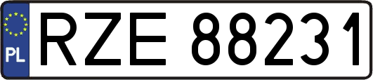 RZE88231