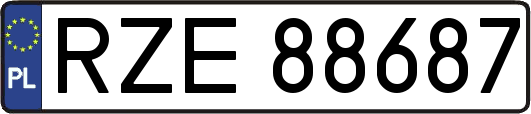 RZE88687