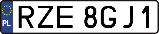 RZE8GJ1