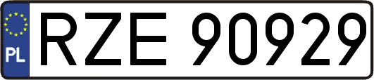 RZE90929