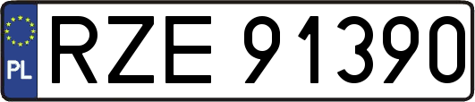 RZE91390