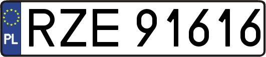 RZE91616