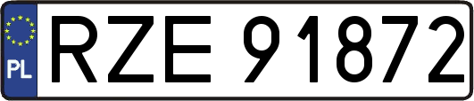 RZE91872